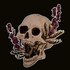 aconite77 Twitch profile
