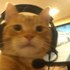 basicmichelle Twitch profile
