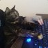 DresdenLowe Twitch profile