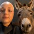 julianeogemilie Twitch profile