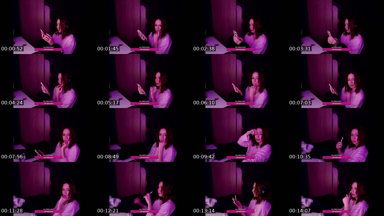 Contact-sheet preview of ariwka21's Twitch recording