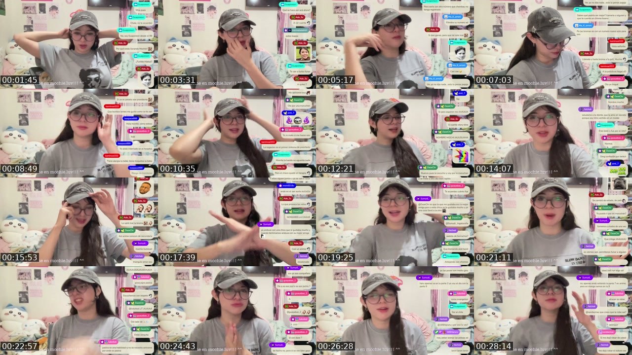 Contact-sheet preview of s0ftm0chiee's Twitch recording