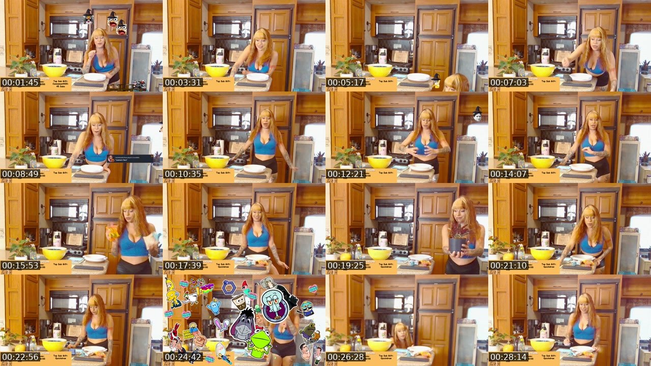 Contact-sheet preview of MissLeemaLee's Twitch recording
