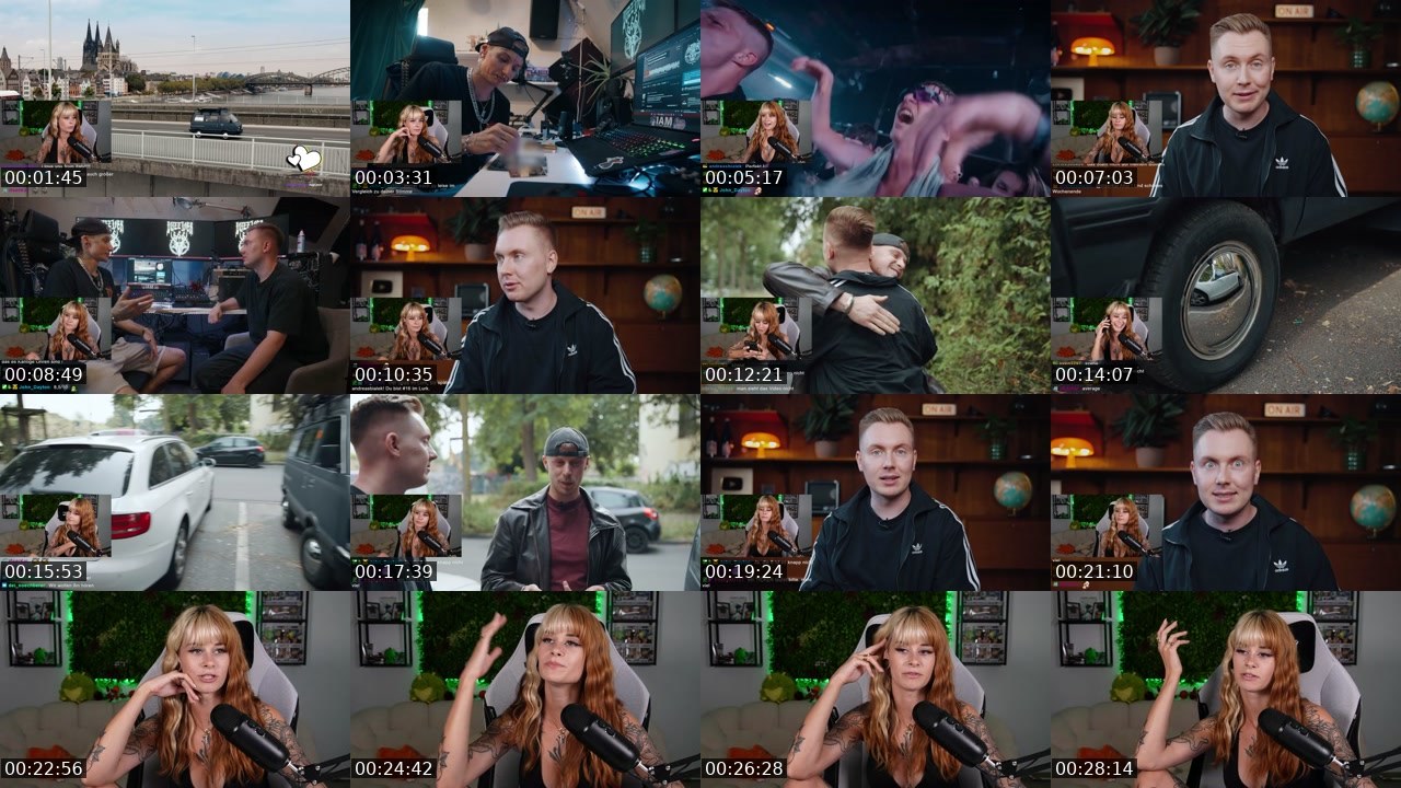 Contact-sheet preview of sallydinosaur_'s Twitch recording