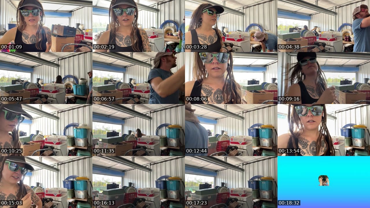 Contact-sheet preview of AlyssaWilds's Twitch recording
