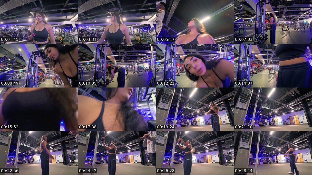 Contact-sheet preview of RAHHH_RAHHH's Twitch recording