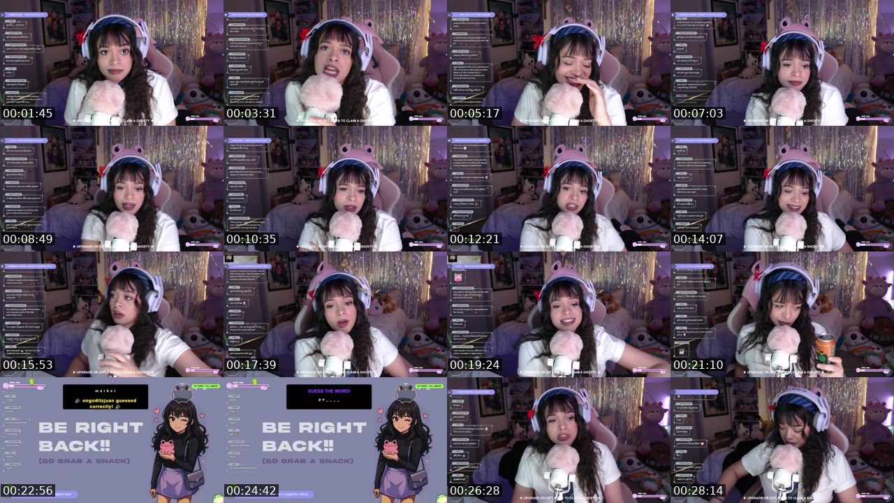 Contact-sheet preview of MakkiiMae's Twitch recording