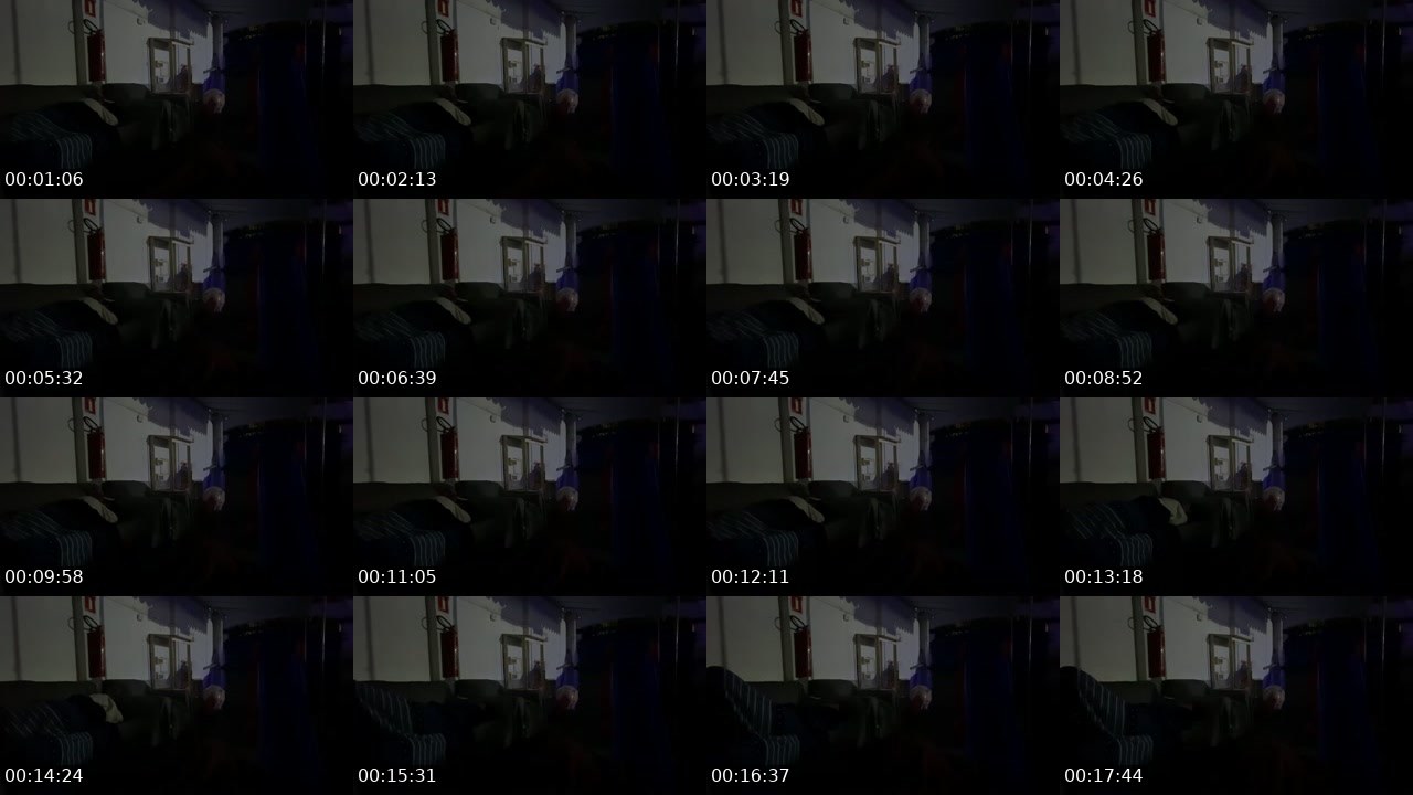 Contact-sheet preview of remer_bueno's Twitch recording