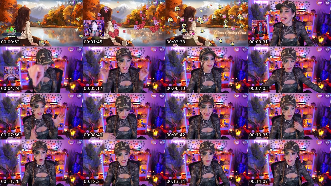 Contact-sheet preview of Fuzhpuzy's Twitch recording