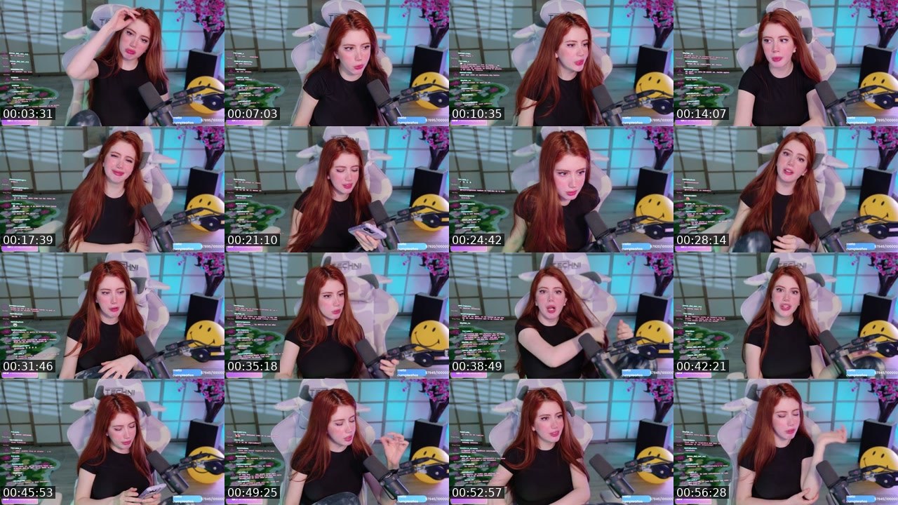 Contact-sheet preview of hellouwpuppies's Twitch recording