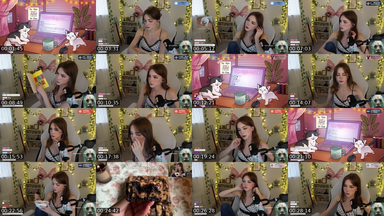 Contact-sheet preview of hollsbeauti's Twitch recording
