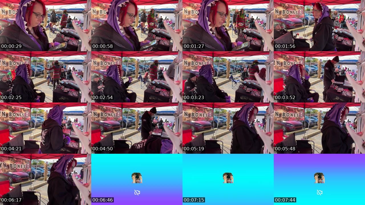 Contact-sheet preview of BrooklynBones's Twitch recording