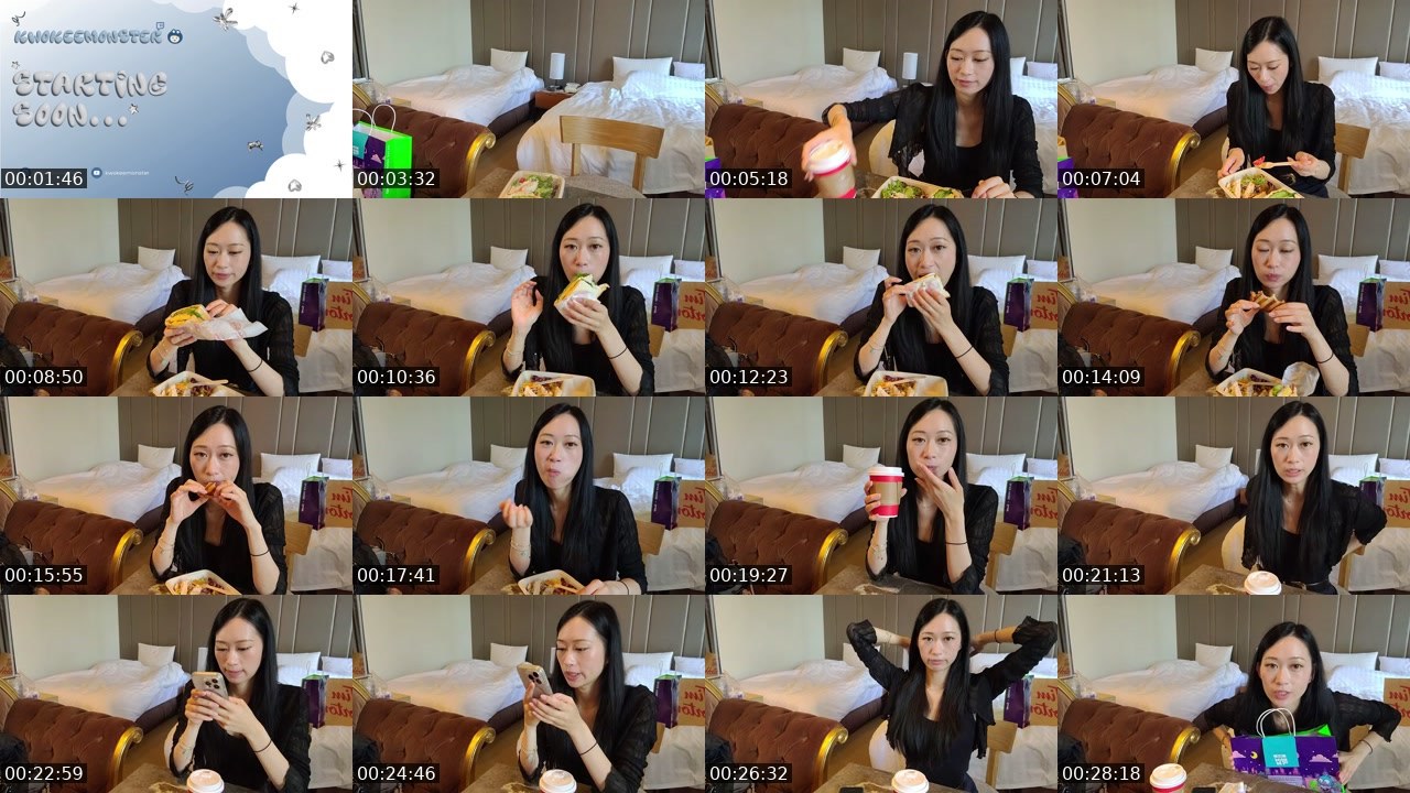Contact-sheet preview of Kwokeemonster's Twitch recording