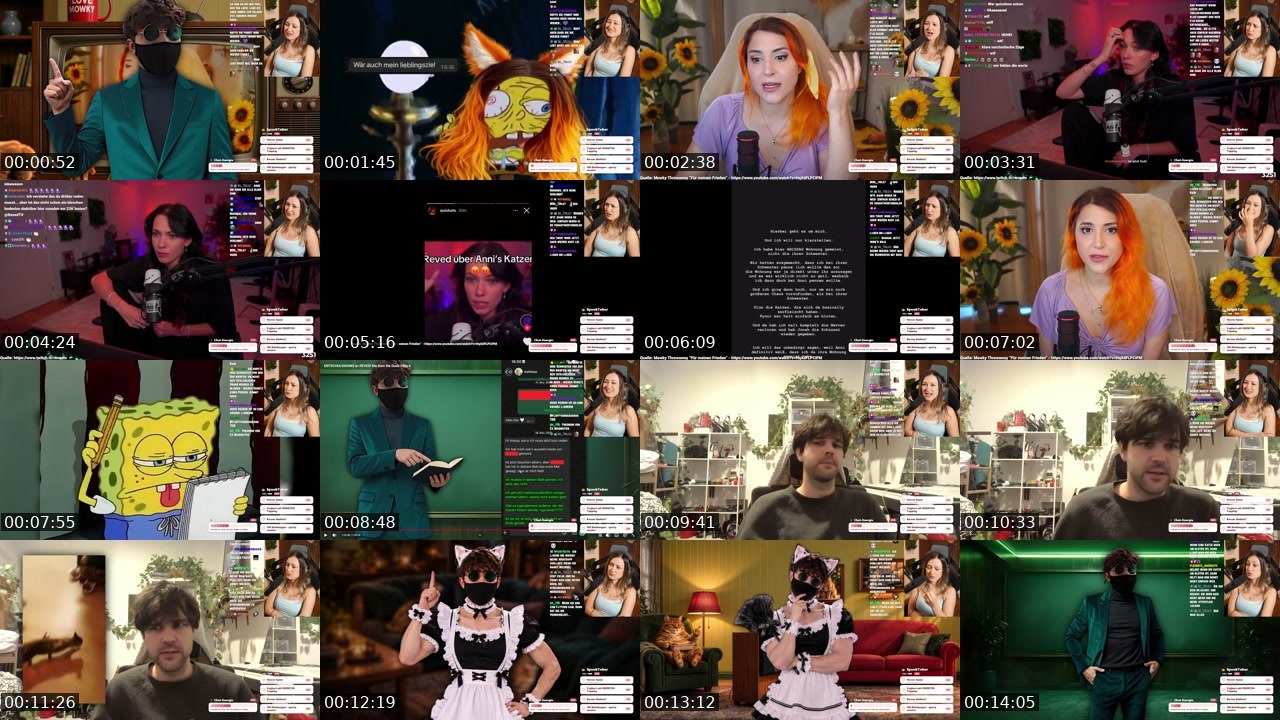 Contact-sheet preview of hallo_alexa_'s Twitch recording