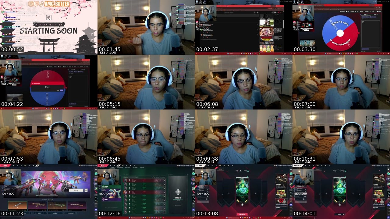 Contact-sheet preview of amg_butter's Twitch recording