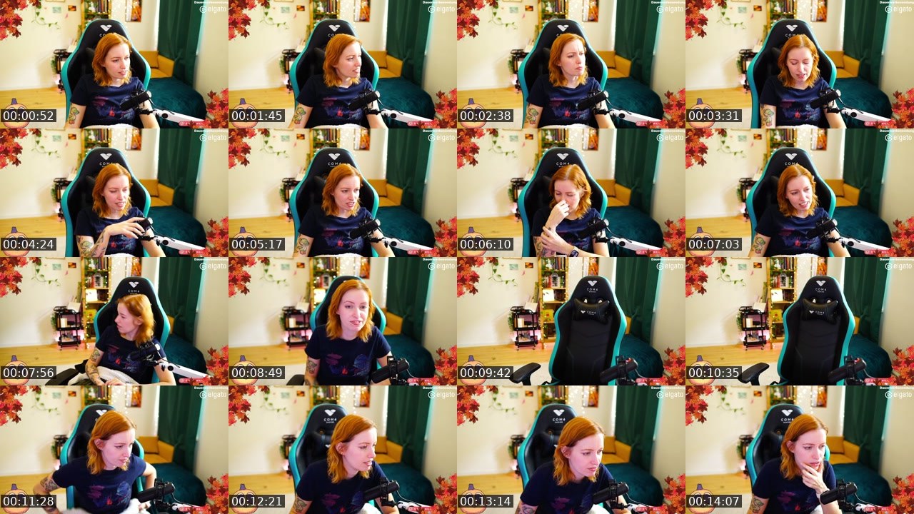Contact-sheet preview of einfachsoNina's Twitch recording