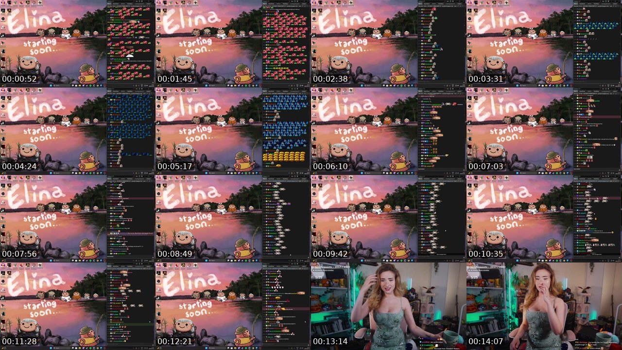 Contact-sheet preview of Elina's Twitch recording