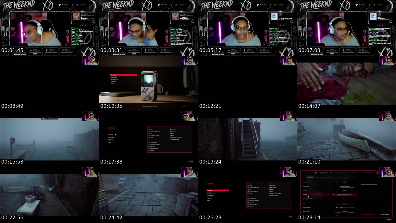 Contact-sheet preview of Akirajanelle's Twitch recording