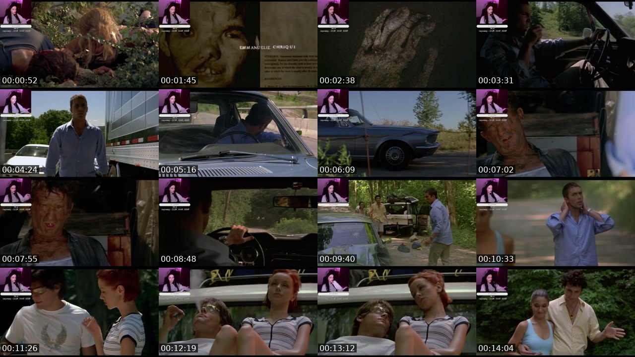 Contact-sheet preview of trevozhnostb's Twitch recording