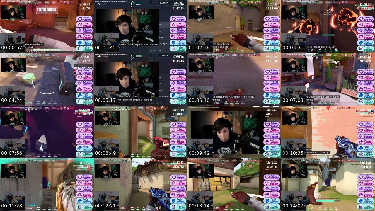 Contact-sheet preview of AngieM_11's Twitch recording