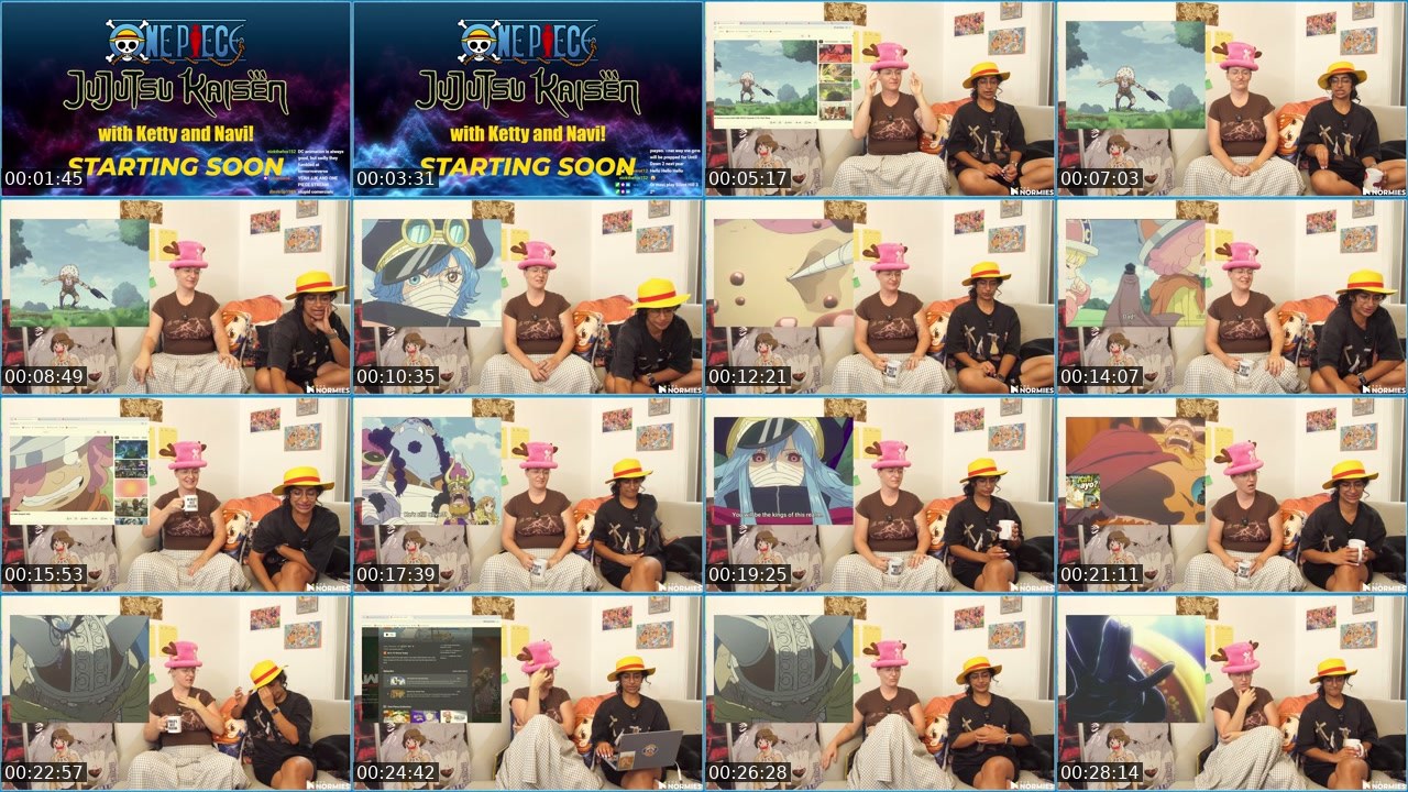 Contact-sheet preview of TheNormiesTV's Twitch recording