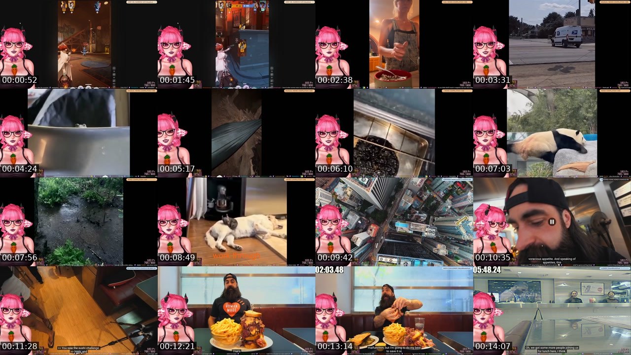 Contact-sheet preview of akiwoo's Twitch recording