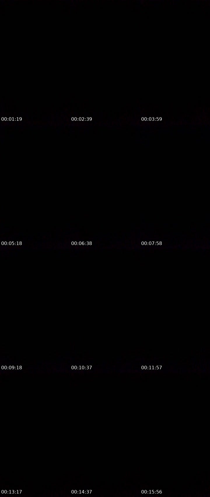 Contact-sheet preview of fortunatekatie's Twitch recording