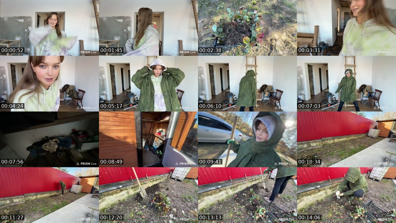Contact-sheet preview of kris_grizliks's Twitch recording