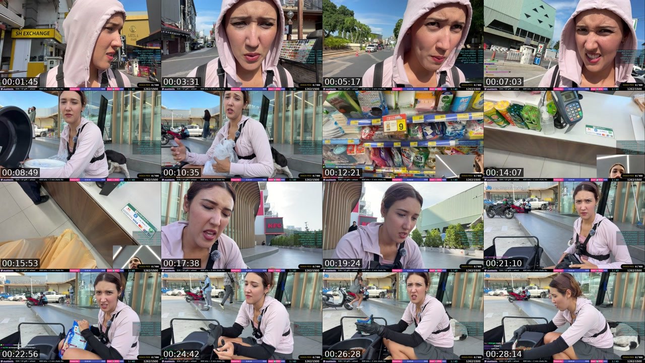 Contact-sheet preview of justketh's Twitch recording