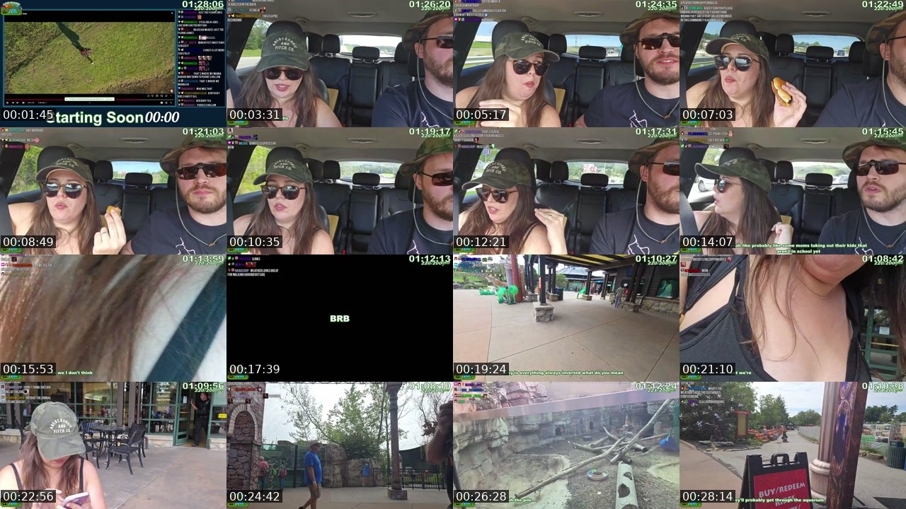 Contact-sheet preview of Kaceytron's Twitch recording