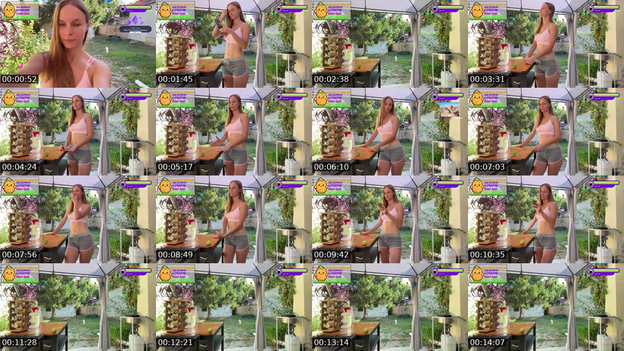 Contact-sheet preview of Gavrilka's Twitch recording