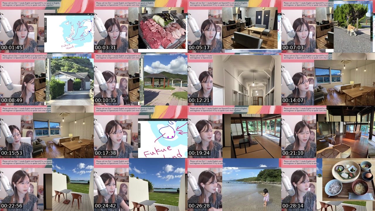 Contact-sheet preview of ドゥルカマラ's Twitch recording