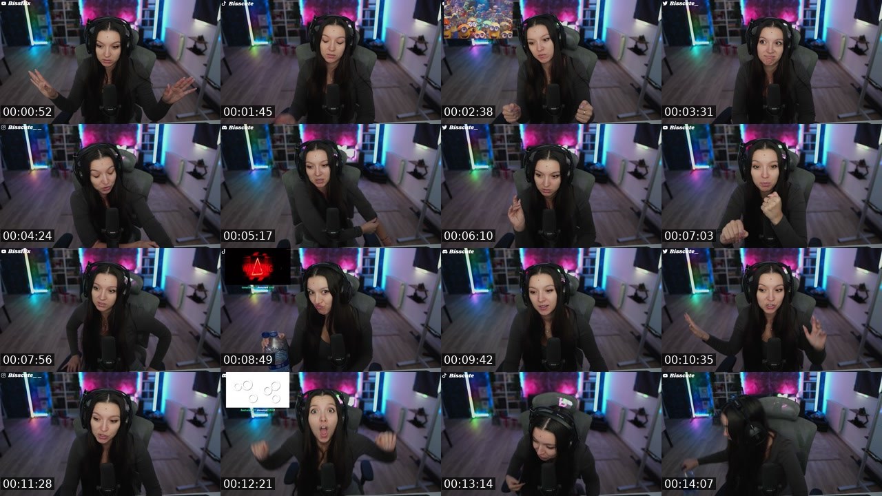 Contact-sheet preview of Bisscute's Twitch recording