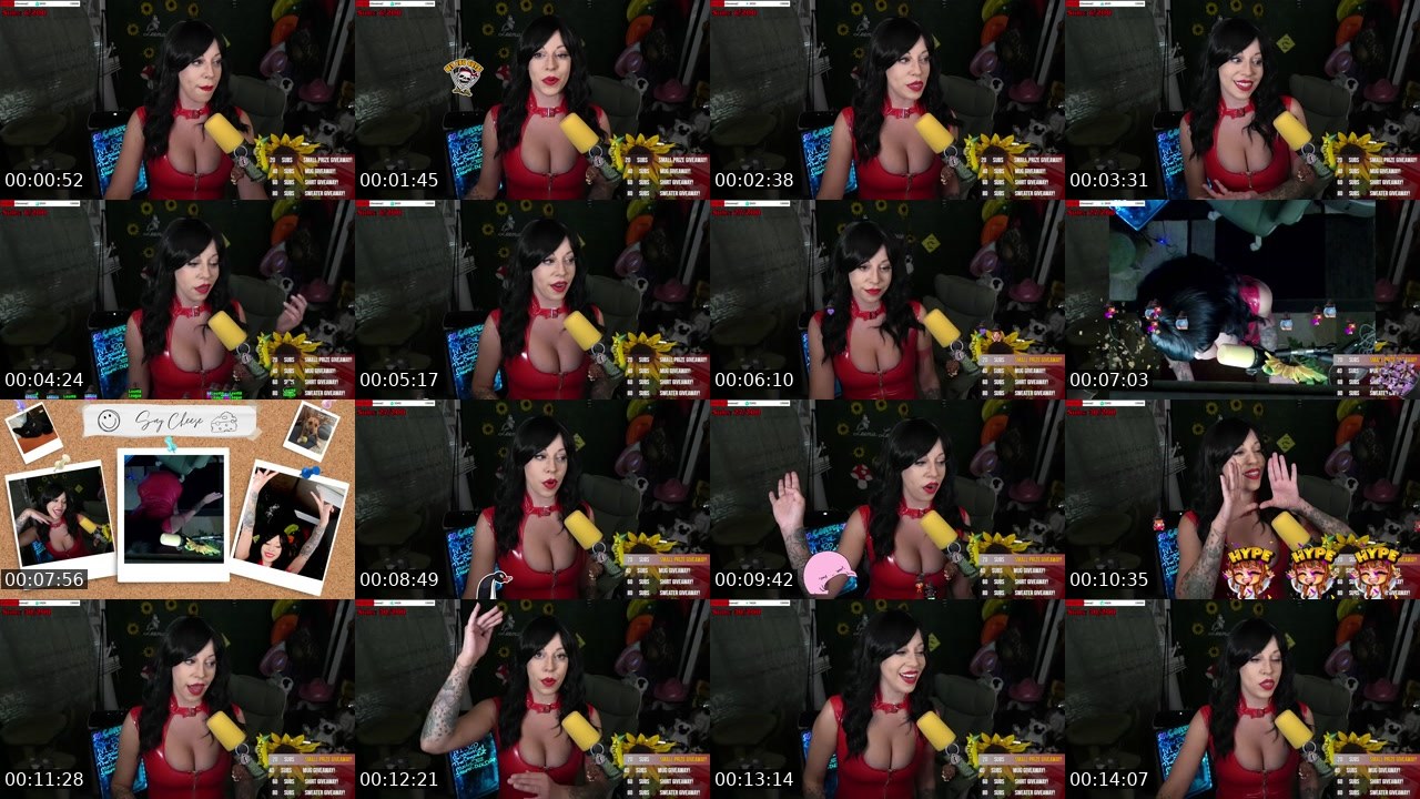 Contact-sheet preview of MissLeemaLee's Twitch recording