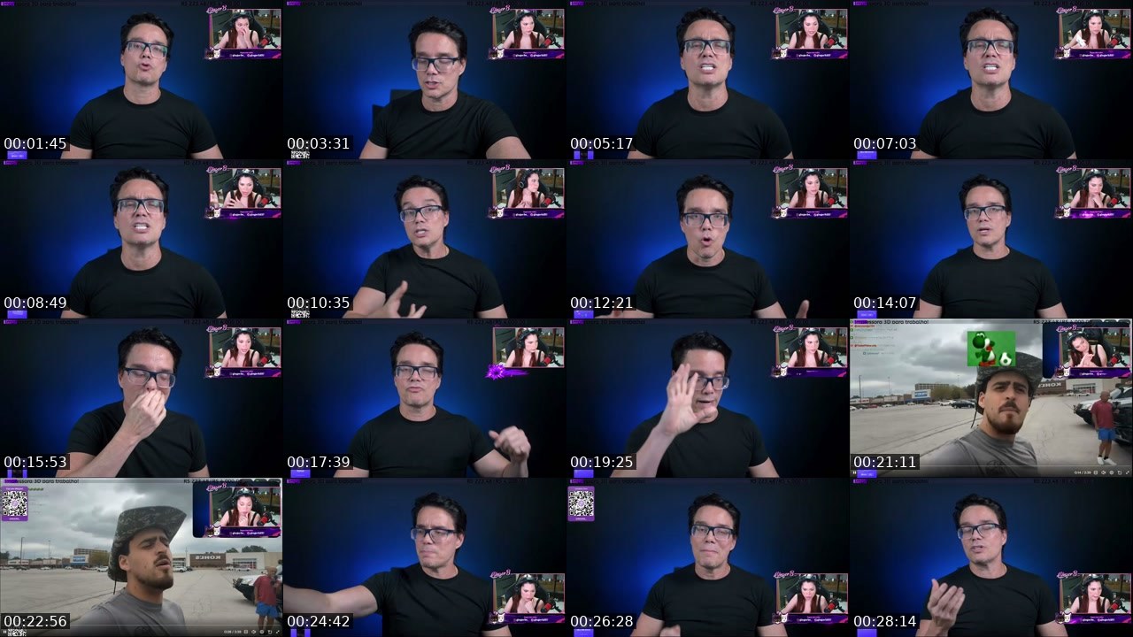 Contact-sheet preview of GingerB_'s Twitch recording