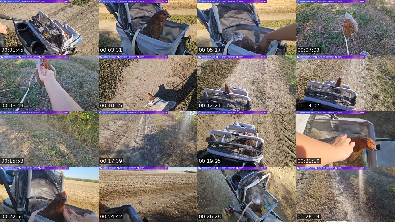 Contact-sheet preview of killerbunnyinrage's Twitch recording