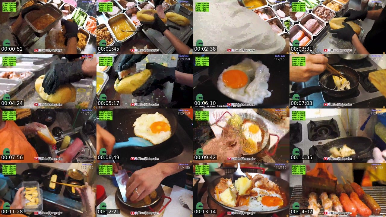 Contact-sheet preview of MisterPhotographer's Twitch recording