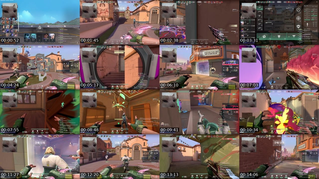 Contact-sheet preview of beaw0's Twitch recording