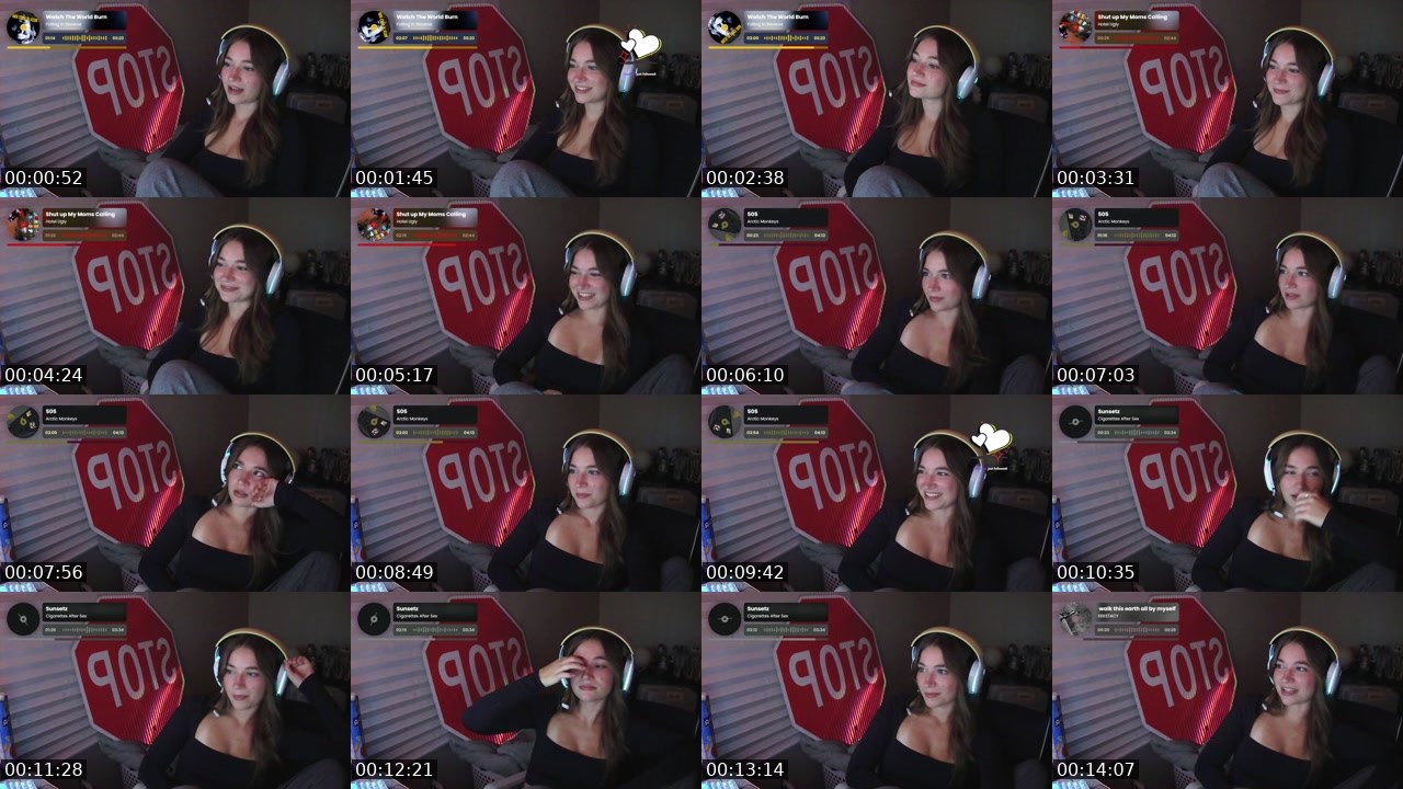 Contact-sheet preview of briiikayyy's Twitch recording