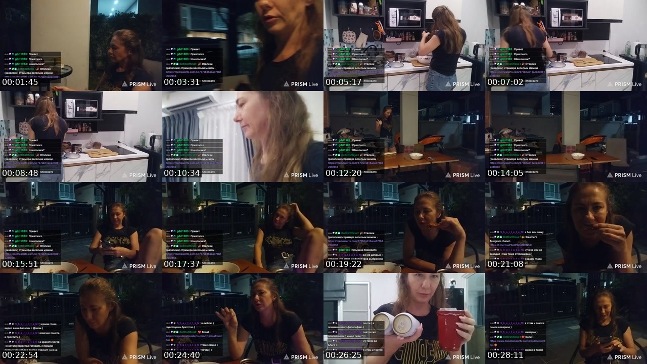 Contact-sheet preview of rodinafromthai's Twitch recording