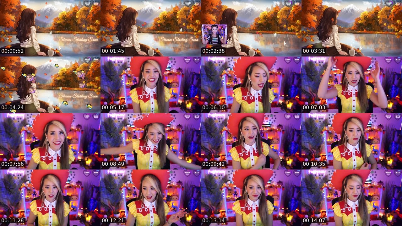 Contact-sheet preview of Fuzhpuzy's Twitch recording