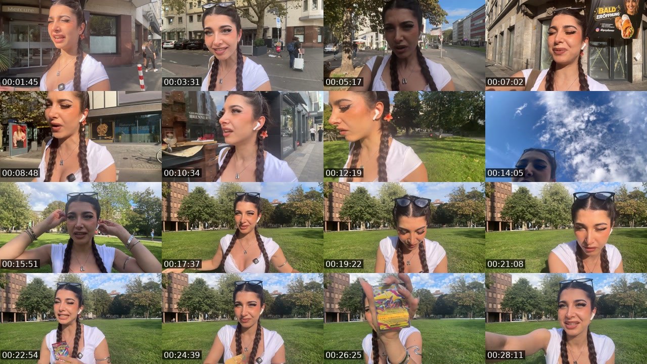 Contact-sheet preview of Naschiitaschii's Twitch recording