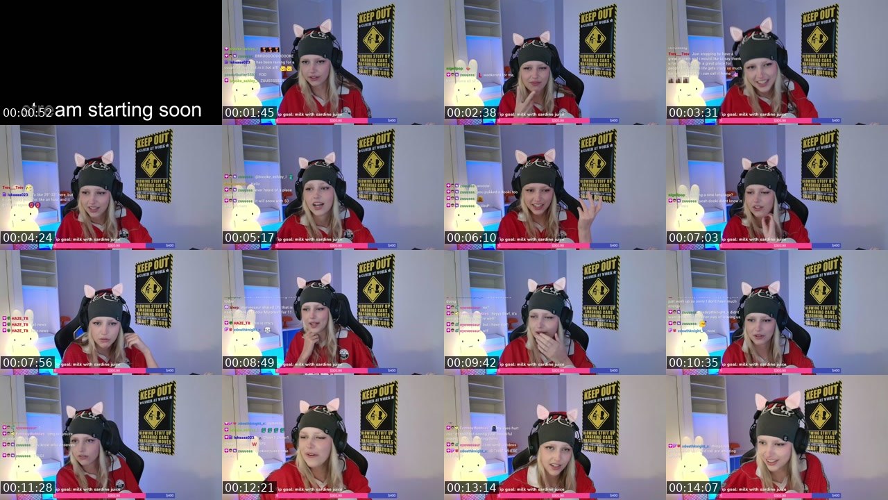 Contact-sheet preview of banonborfTV's Twitch recording