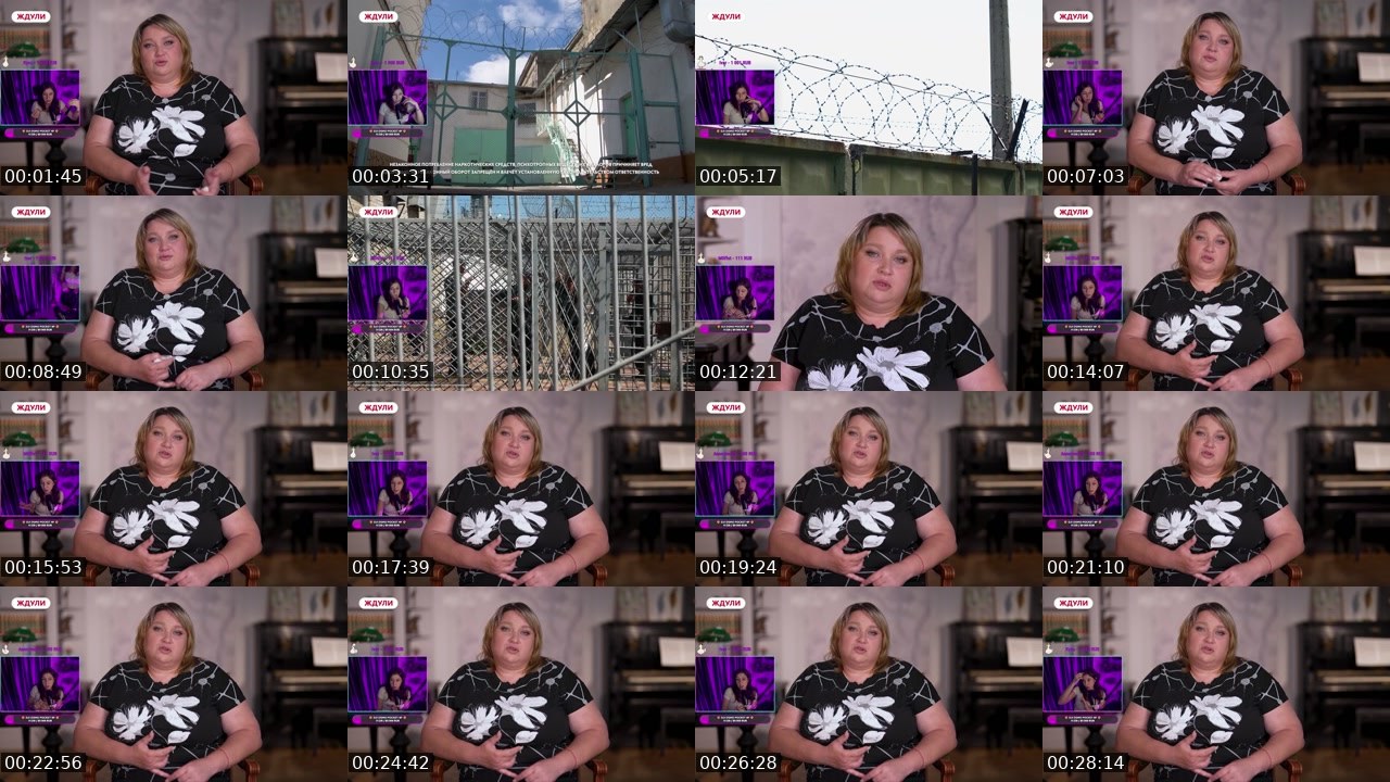 Contact-sheet preview of DidishkaTV's Twitch recording