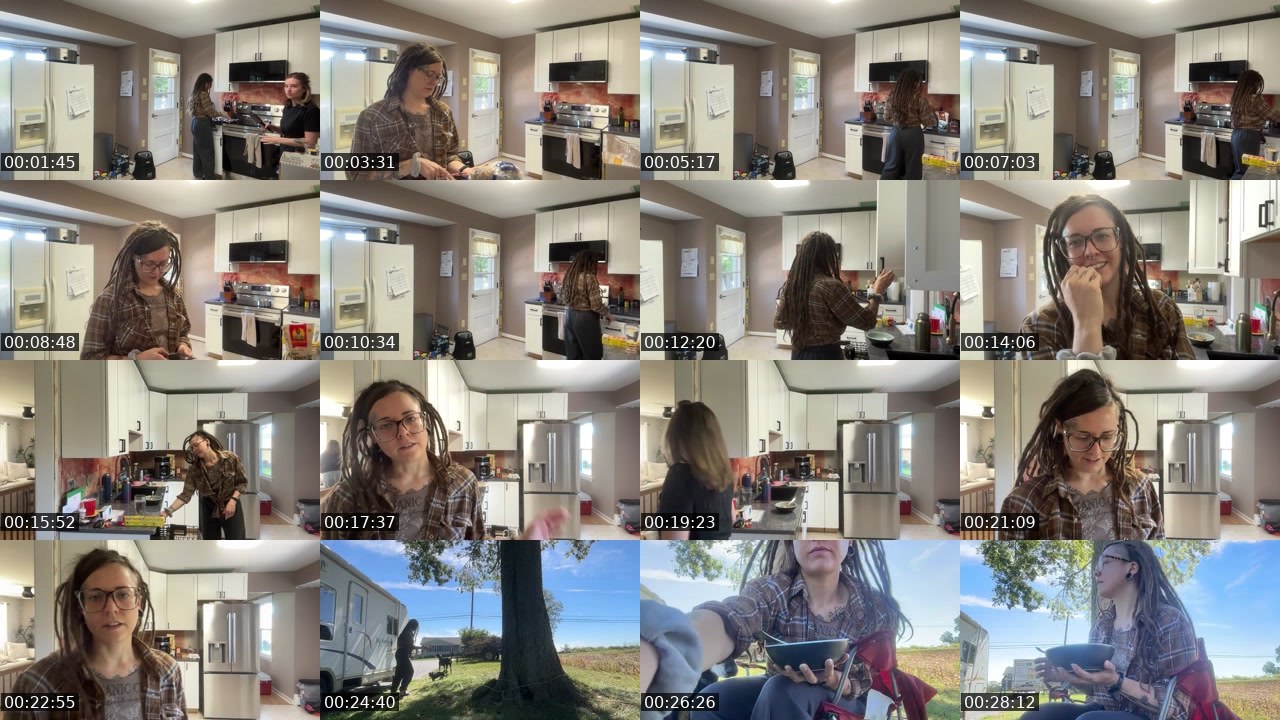 Contact-sheet preview of AlyssaWilds's Twitch recording