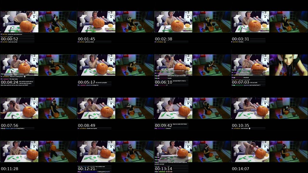 Contact-sheet preview of myrhel's Twitch recording