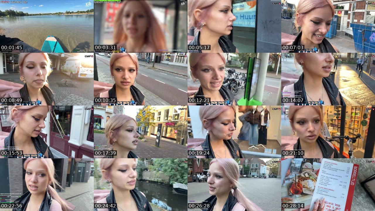 Contact-sheet preview of almostfeline's Twitch recording