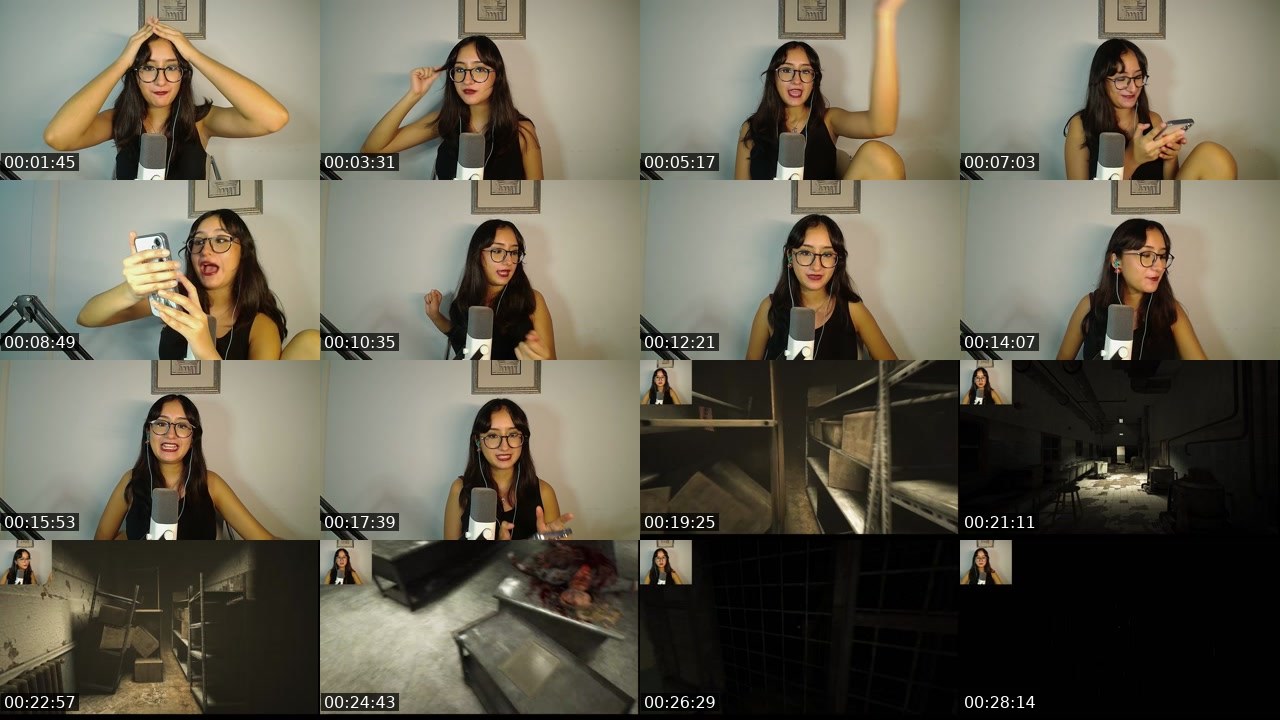 Contact-sheet preview of vavalhi's Twitch recording
