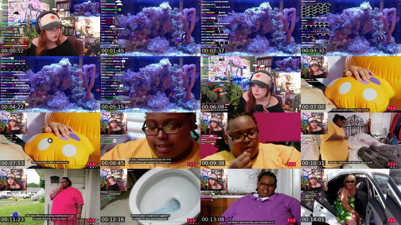 Contact-sheet preview of journee's Twitch recording
