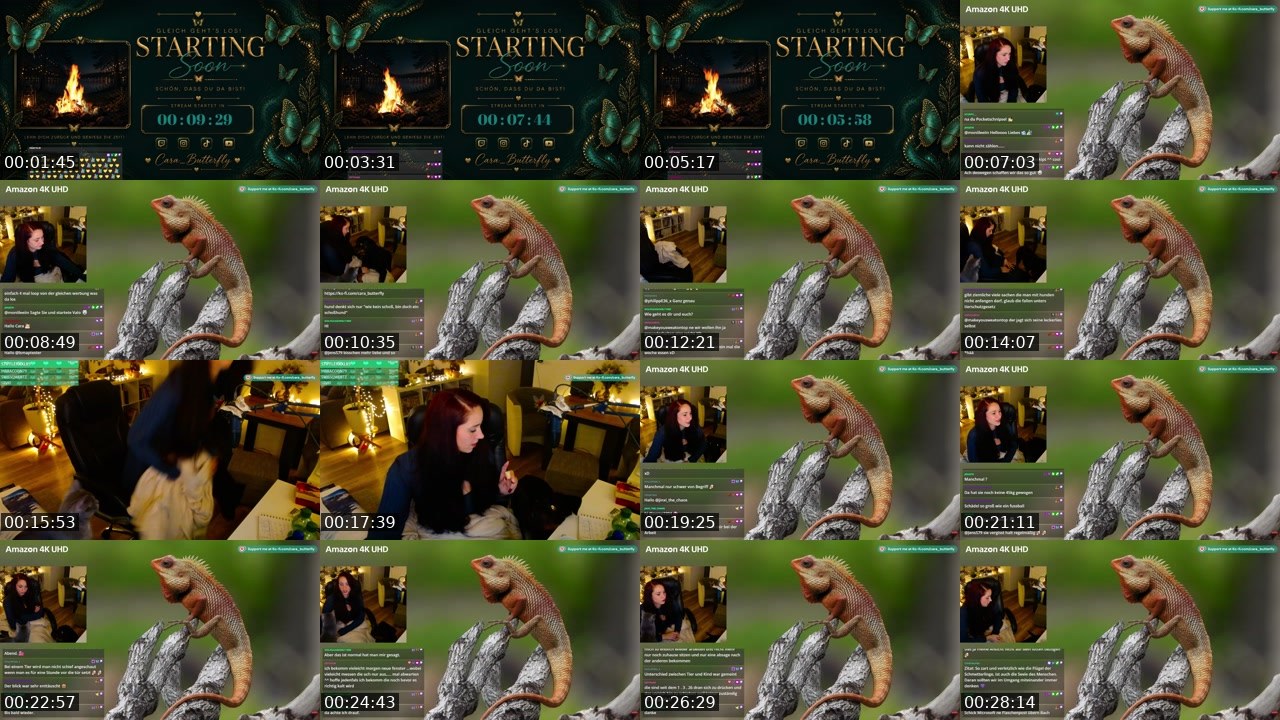 Contact-sheet preview of cara_butterfly's Twitch recording